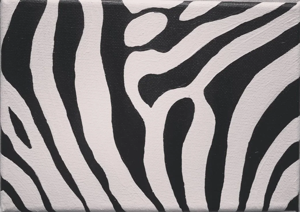 A black and white zebra-stripe composition