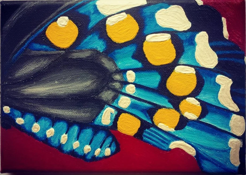 A close-up of a colorful butterfly wing